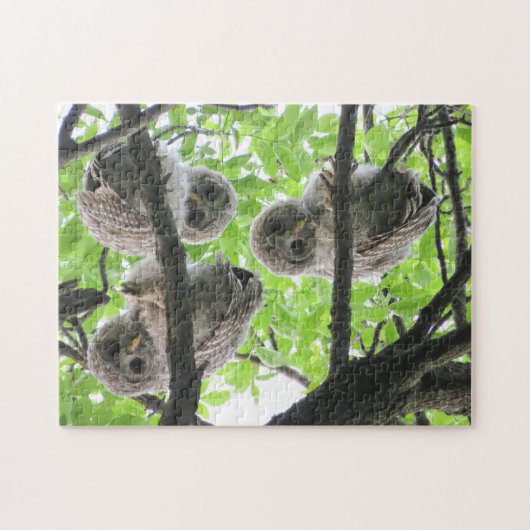 3 Owlets Jigsaw Puzzle (Horizontal)