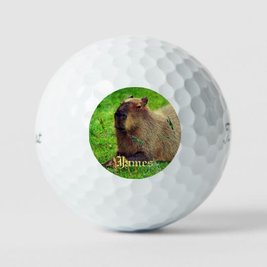 3 Pack Spaß Personalisiert Capybara Tier Golfball (Vorderseite)