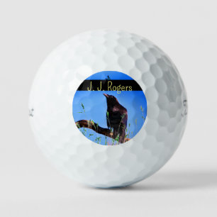 (3 Pack) Wildlife Raven Bird Personalisiert Golfball