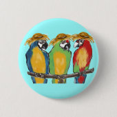 3 Papageien Button (Vorderseite)