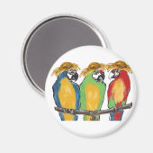 3 Papageien Magnet (Vorderseite/Rückseite)