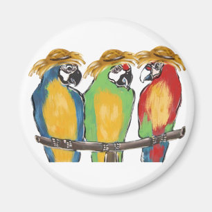 3 Papageien Magnet