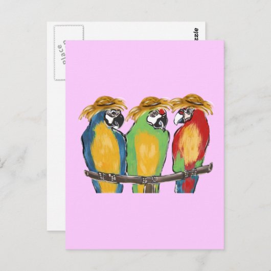 3 Papageien Postkarte (Vorne/Hinten)