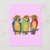 3 Papageien Postkarte (Vorderseite)