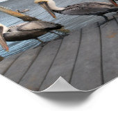 3 Pelikane in Folge Poster (Ecke)