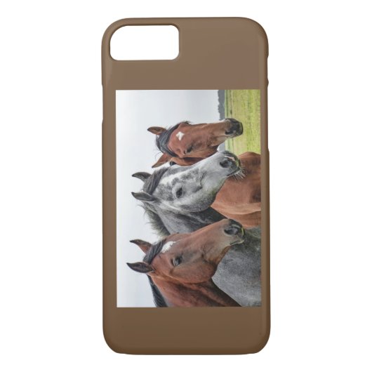 3 Pferdeköpfe Apple iPhone 8/7, Case Reittier (Rückseite)