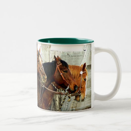 3 Pferdeköpfe Zweifarbige Tasse (Rechts)