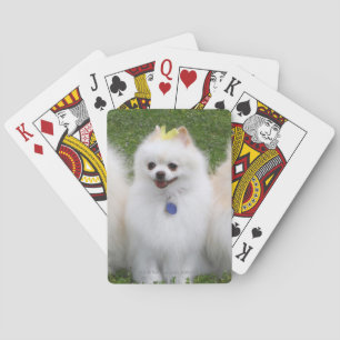 3 Pomeranians Sitting Spielkarten