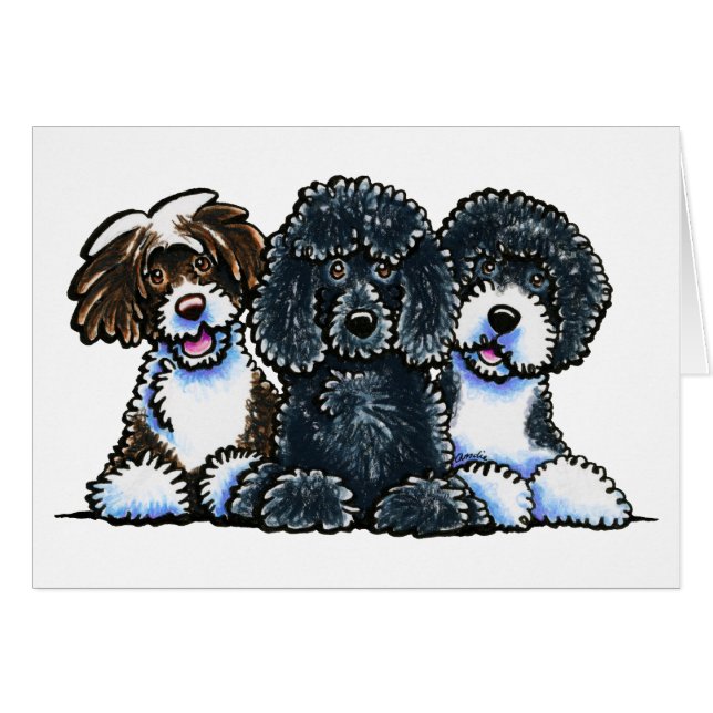 3 Portugiesische Wasserhunde (Vorderseite (Horizontal))