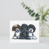 3 Portugiesische Wasserhunde Postkarte (Stehend Vorderseite)