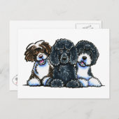 3 Portugiesische Wasserhunde Postkarte (Vorne/Hinten)