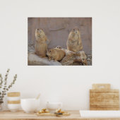 3 Rascals Poster (Küche)