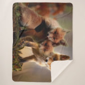 3 RED FOX PUPS SHERPADECKE (Vorderseite)