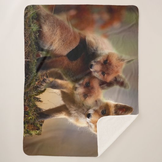 3 RED FOX PUPS SHERPADECKE (Vorderseite)