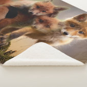 3 RED FOX PUPS SHERPADECKE (3/4)