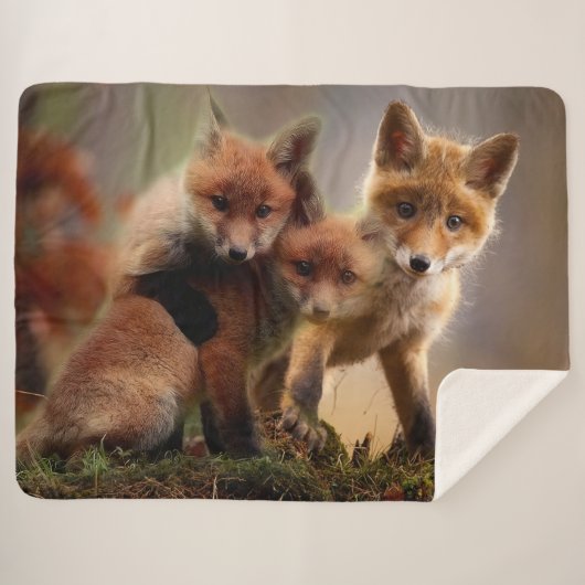 3 RED FOX PUPS SHERPADECKE (Vorderseite (Horizontal))
