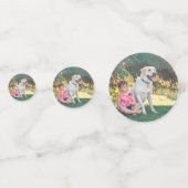 3 Rex Dinosaurier Thema Dritter Geburtstag Foto Konfetti (Vorderseiten)