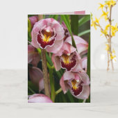 3 rosa Damen-Blühen Karte (Gelbe Blume)