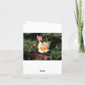 3 Roses, Beautiful Birthday Karte (Rückseite)