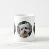 3 RUNDE Fotos machen Ihre eigene Tasse New Pet Cat (Mittel)