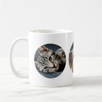 3 RUNDE Fotos machen Ihre eigene Tasse New Pet Cat