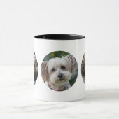 3 RUNDE Fotos machen Ihre eigene Tasse New Pet Cat (Zentrum)