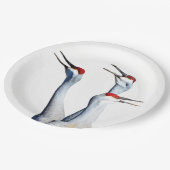 3 Sandhill Cranes Foto Paper Teller (Schrägansicht)