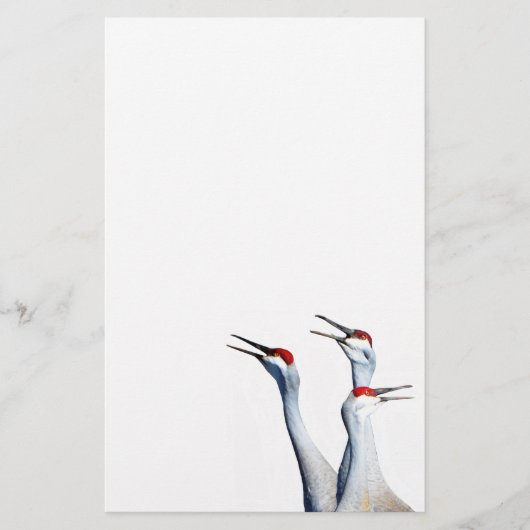 3 Sandhill Cranes Foto Stationery Paper Briefpapier (Vorderseite)
