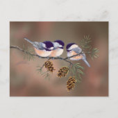 3 SCHICKKADEE & PINE CONESby SHARON SHARPE Postkarte (Vorderseite)