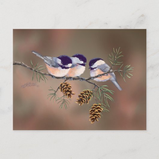 3 SCHICKKADEE & PINE CONESby SHARON SHARPE Postkarte (Vorderseite)