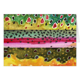 3 Schöne Forellenhaut