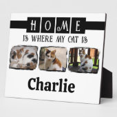 3 Schwarz, Schwarz, Schwarz des Fotos von Heimtier Fotoplatte (Seite)