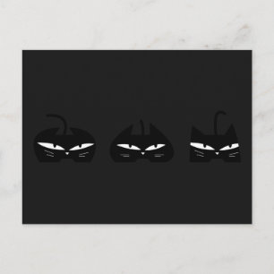 3 Schwarze Katzen in der Nacht Postkarte