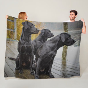 3 SCHWARZE LABRADOR FLEECEDECKE