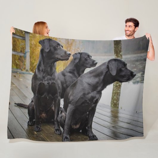 3 SCHWARZE LABRADOR FLEECEDECKE (Beispiel)