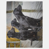 3 SCHWARZE LABRADOR FLEECEDECKE (Vorderseite)