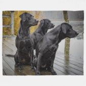 3 SCHWARZE LABRADOR FLEECEDECKE (Vorderseite (Horizontal))