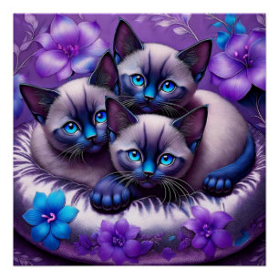 3 Siamische Kätzchen Purple Blumen Silberkissen Poster