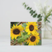 3 Sonnenblumen Postkarte (Stehend Vorderseite)