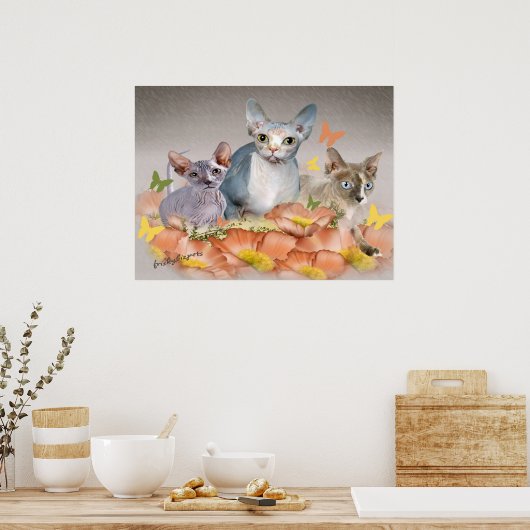 3 Sphynx-Kätzchen Poster (Küche)