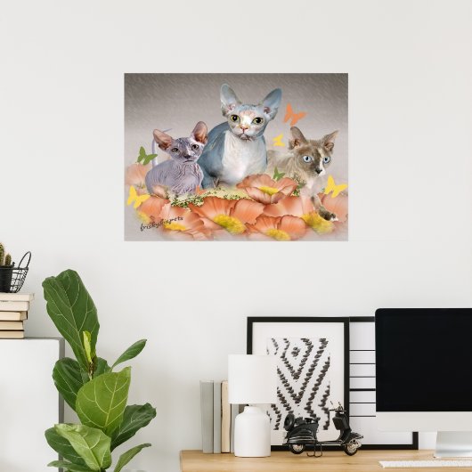 3 Sphynx-Kätzchen Poster (Heimbüro)