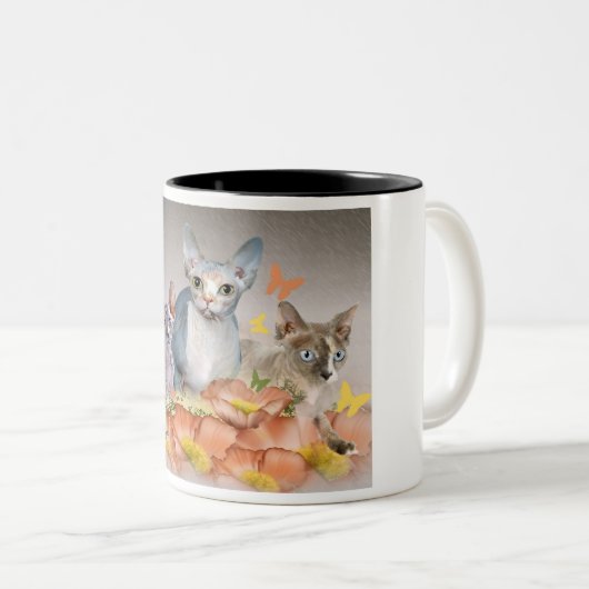 3 sphynx Kätzchen Tasse (VorderseiteRechts)