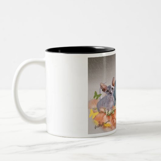 3 sphynx Kätzchen Tasse (Links)