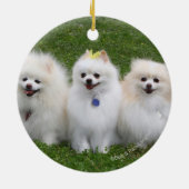 3 Spitz-Sitzen Keramikornament (Hinten)