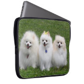 3 Spitz-Sitzen Laptopschutzhülle (Vorne Rechts)