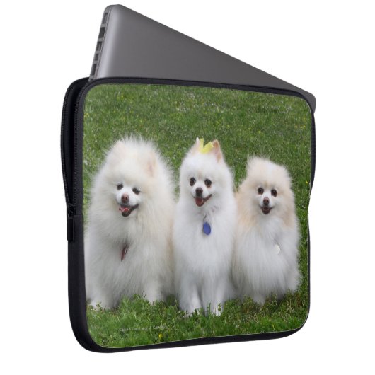 3 Spitz-Sitzen Laptopschutzhülle (Vorne Rechts)
