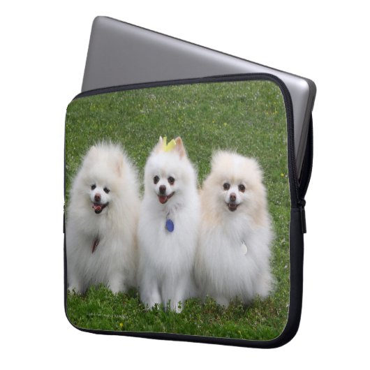 3 Spitz-Sitzen Laptopschutzhülle (Vorderseite Links)