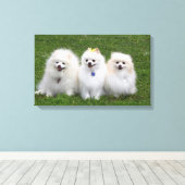 3 Spitz Sitzen Leinwanddruck (Insitu (Holzboden))