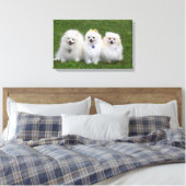 3 Spitz Sitzen Leinwanddruck (Insitu (Schlafzimmer))