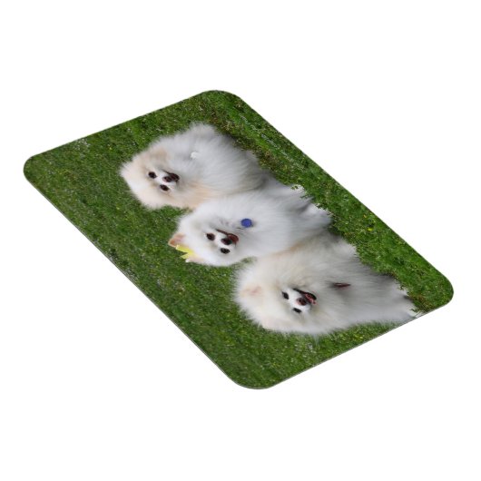 3 Spitz Sitzen Magnet (Rechte Seite)